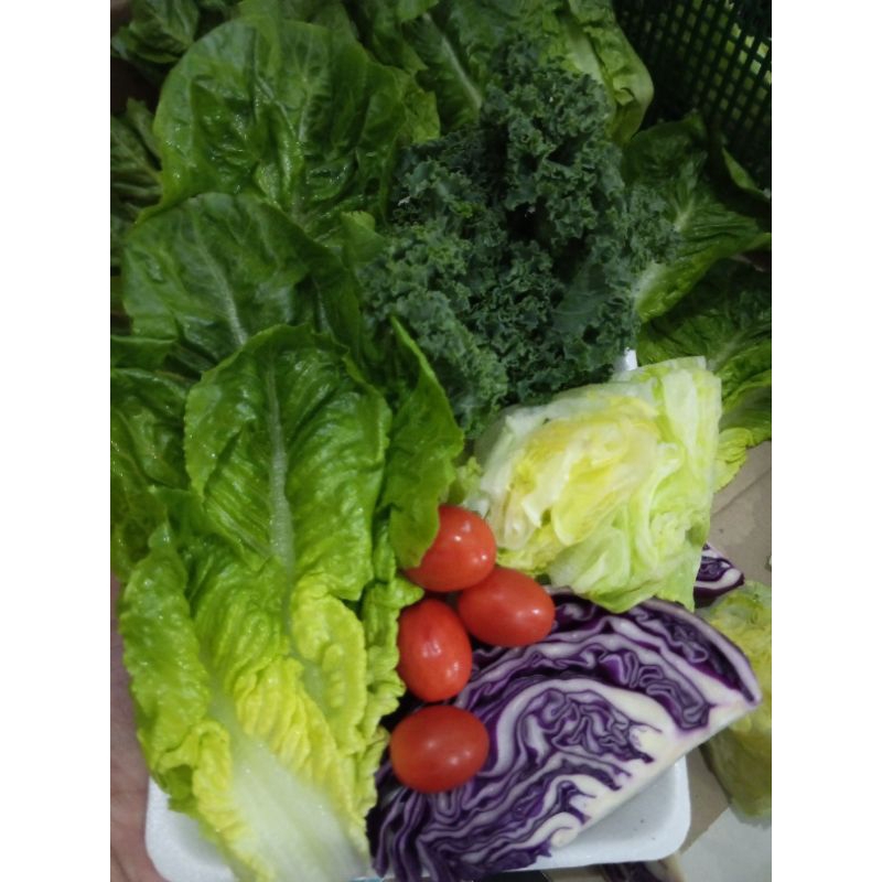 

Paket sayur salad