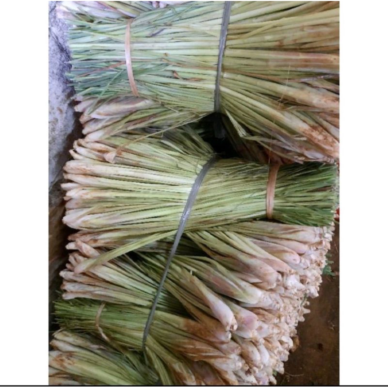 

daun sereh/batang sereh 1ikat