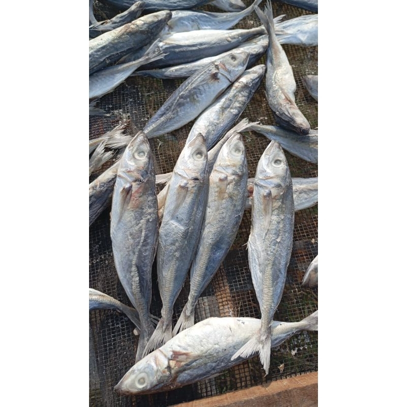 

ikan asin peda layang / Cue / klotok / pindang 1kg murah gurih