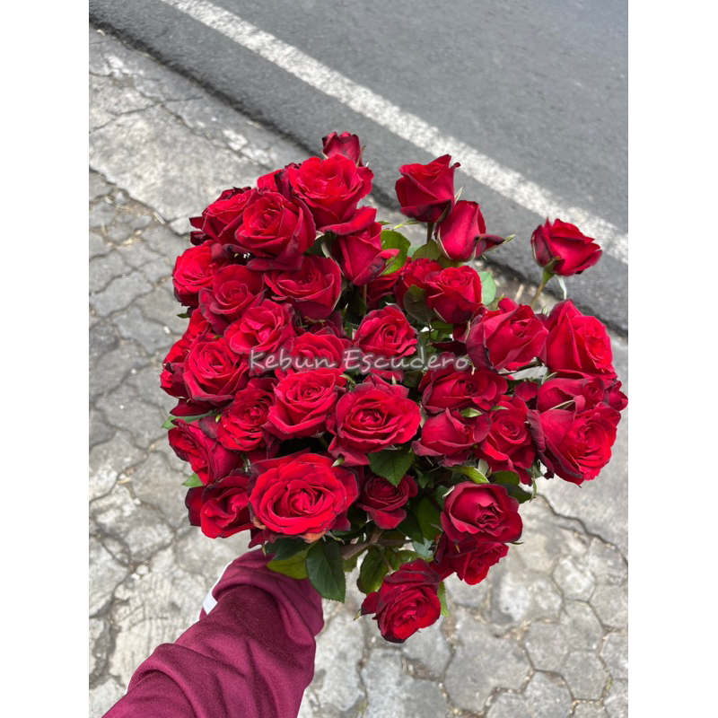 Bunga Mawar Potong Merah / Mawar Potong Fresh Perbiji