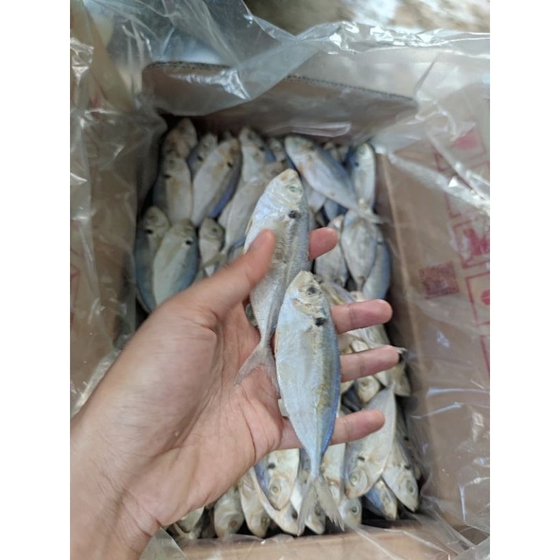 

IKAN ASIN SELAR JUMBO 500GR