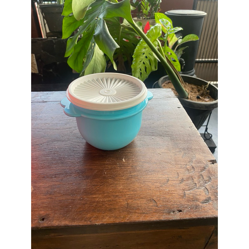 Star Bowl Tupperware