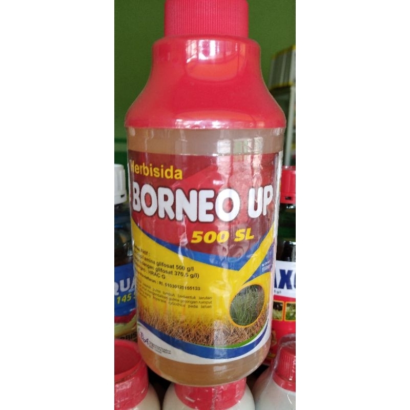 HERBISIDA BORNEO UP 500 SL 1 LITER