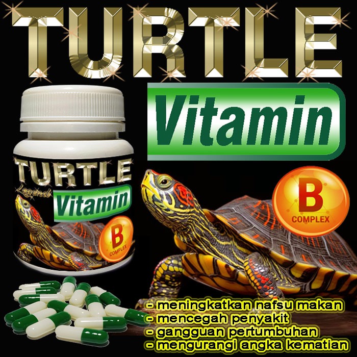 TURTLE VITAMIN BUBUK KAPSUL SUPLEMEN KESEHATAN KURA-KURA AIR BRAZIL RES CST AST DAMER KURA AMBON PIP