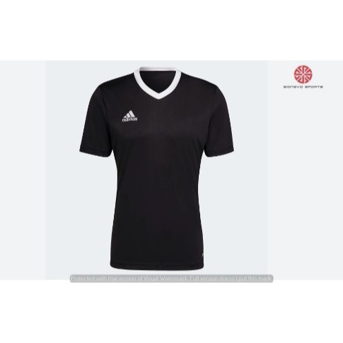 JERSEY - AD ENT 22 HE1573_BDG