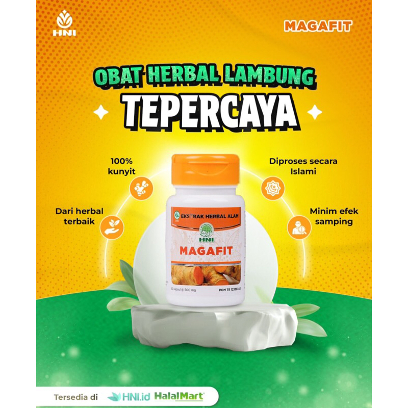 MAGAFIT - Obat Maag Kronis - Asam Lambung Kronis - Obat Herbal Pencernaan - HNI HPAI