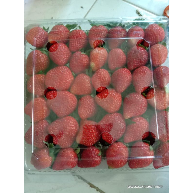 

stroberi fresh grade ab campur termurah se depok berat 1kg-+