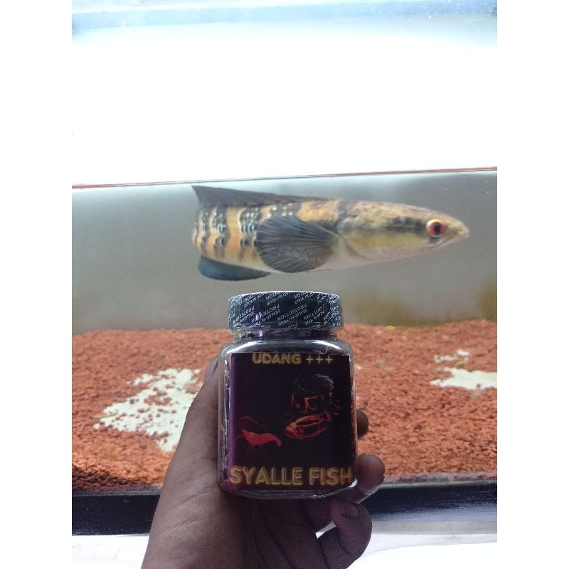 

HOOT UDANG SYALLE FISH 200ML