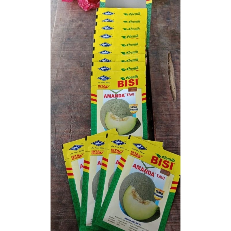 Benih Melon Amanda tavi