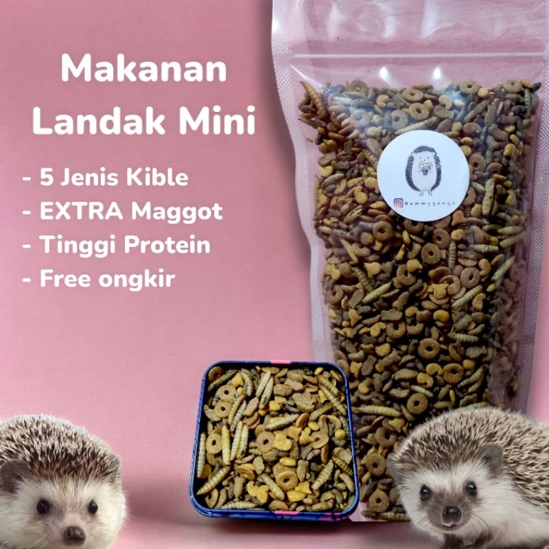 Makanan landak mini komplit
