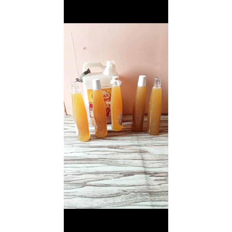 

Madu asli dari hutan