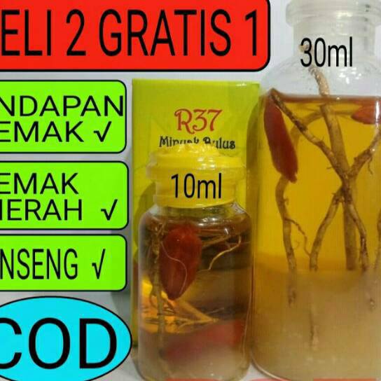 KF7 MINYAK BULUS PAPUA GINSENG MERAH R37 ORI ASLI ORIGINAL PEMBESAR PAYUDARA