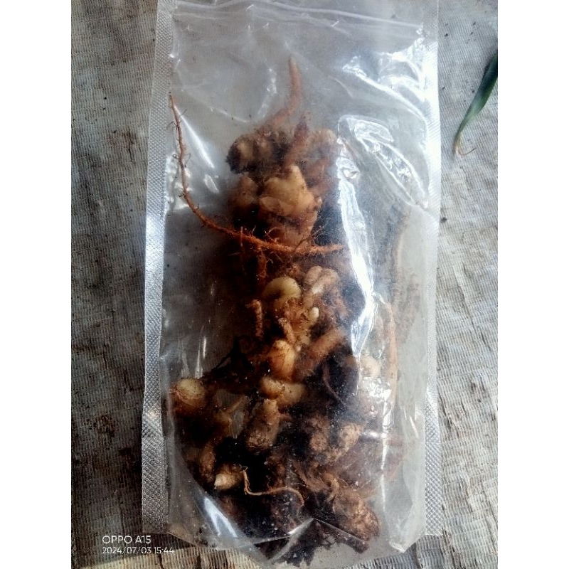 

1 paket bumbu dapur campur jahe/ kencur/kunyit/lengkuas/kunci 500g