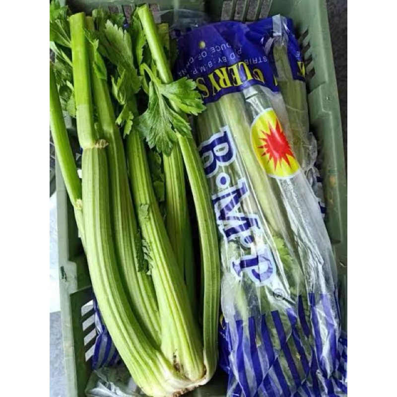 

Cellery Stick / Sledri Batang Import Fresh 1kg