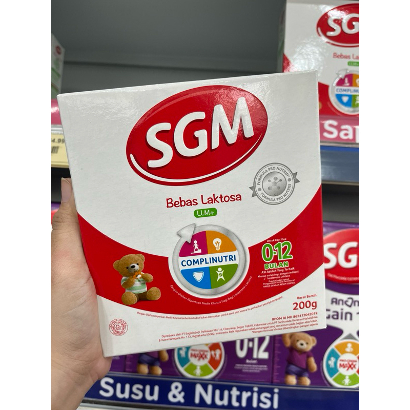 SGM LLM