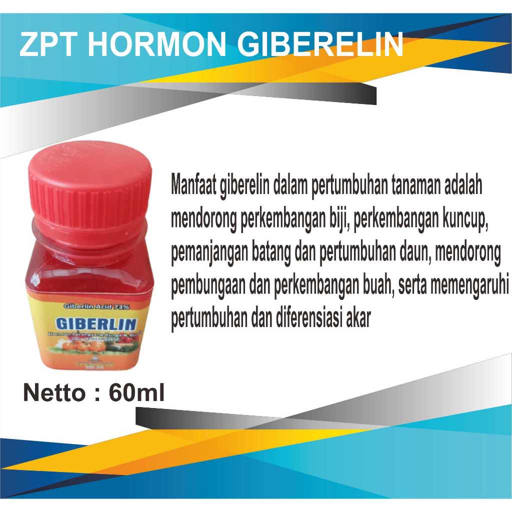 Hormon ZPT Giberelin 73% 60ml Perangsang Bunga dan Pembesar Buah,