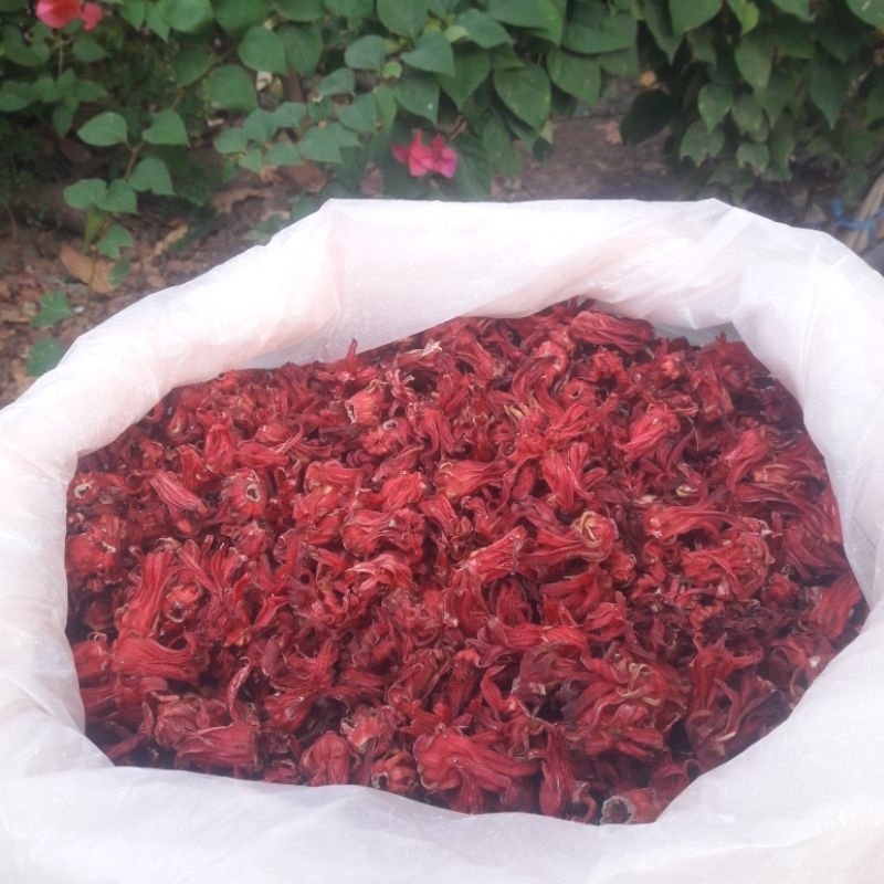 

COD Bunga Rosella 500gr Kualitas Bagus - Teh Bunga Rosella