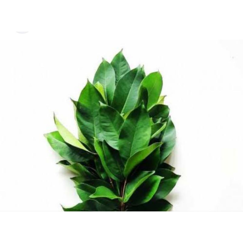 

daun salam/bumbu masak