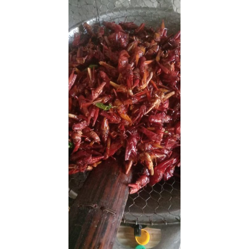 

Cemilan Belalang