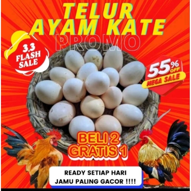 

TELUR AYAM KATE BAGUS UNTUK JAMU