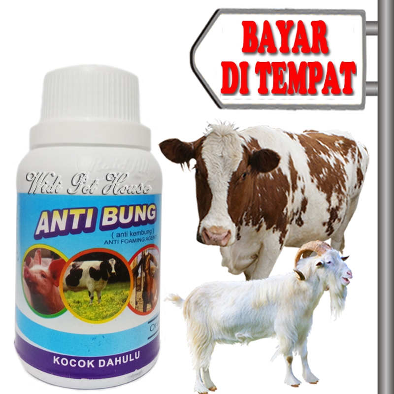 Obat Diare Mencret Kembung Sapi Kambing Anti Bung Hewan Ternak