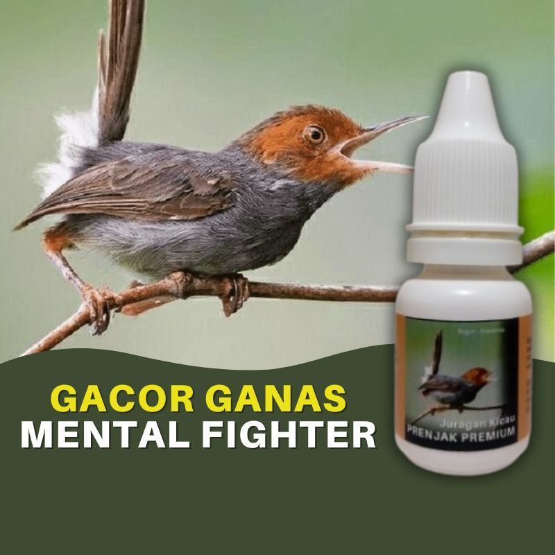 Doping Vitamin Burung Prenjak Premium Gacor Full Fighter Ganas