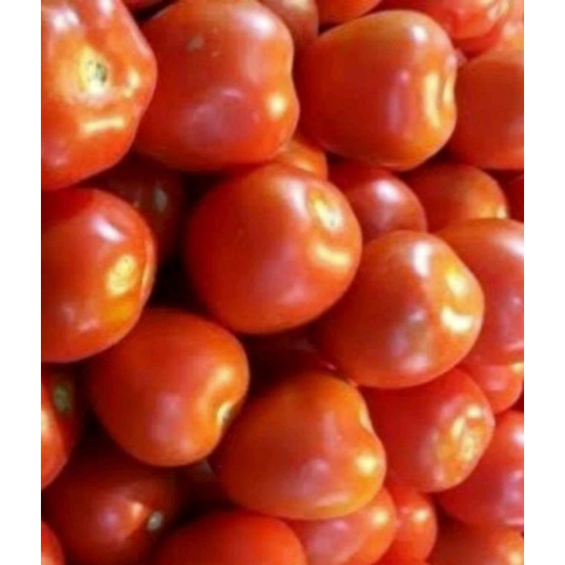 

tomat