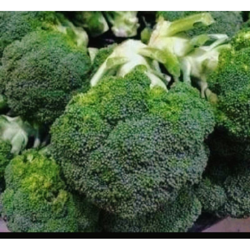 

sayur brokoli segar