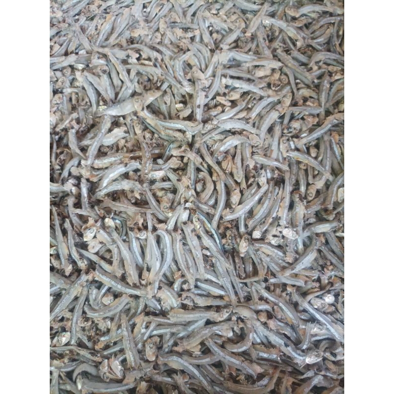 

Ikan asin teri jengki 500gr