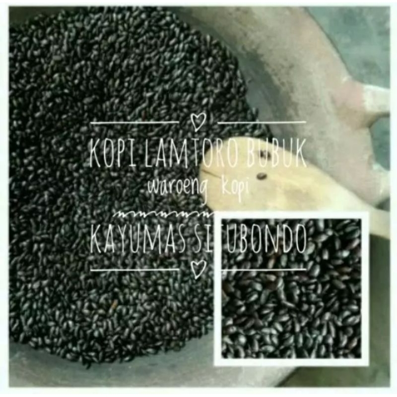 

Lamtoro Bubuk jamu / Petai cina