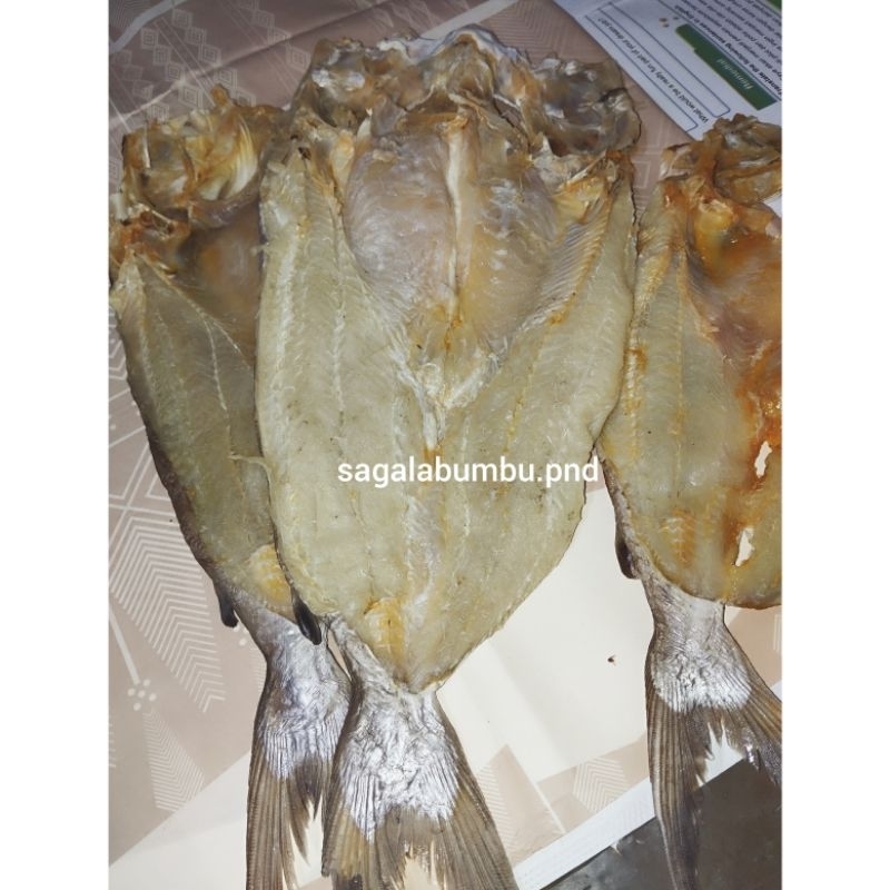 

ikan asin jambal roti oleh oleh Pangandaran jambal roti khas Pangandaran jambal roti