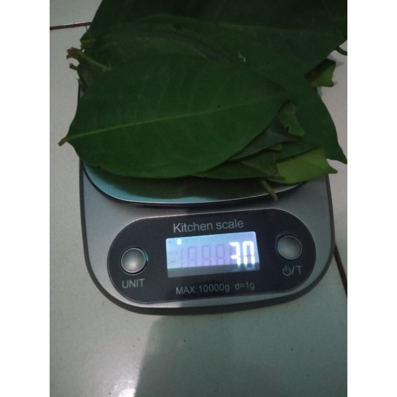 

Daun Salam 30 Gram