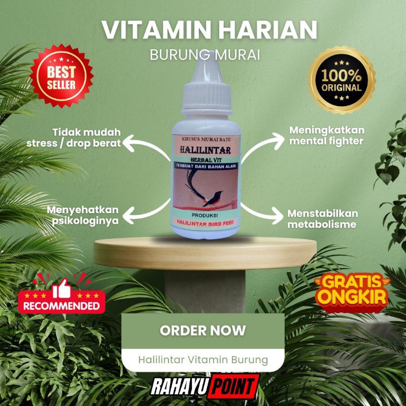 Halilintar Vit Vitamin Burung Harian Lomba Murai Batu Kacer Cendet Cucak Ijo Hijau Masteran Sehat Ga