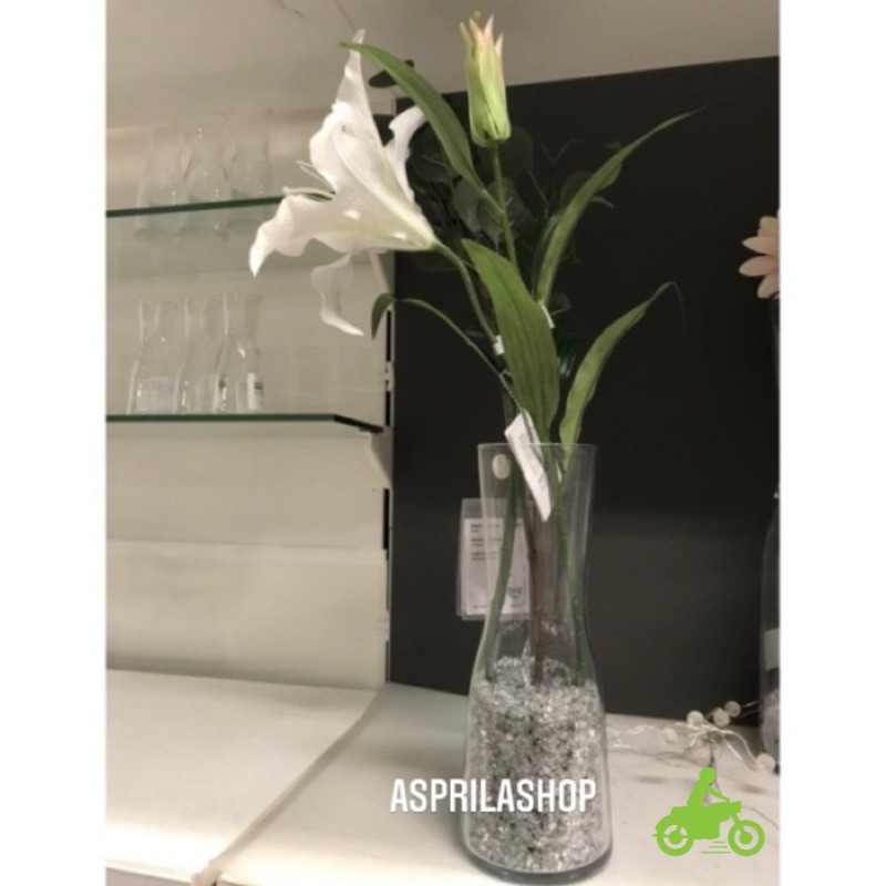 Vas Bunga Kaca Tinggi 30cm Elegan Pot Bunga Dekorasi Rumah Model Lucu Vas Bunga Sedap Malam Vas Ting