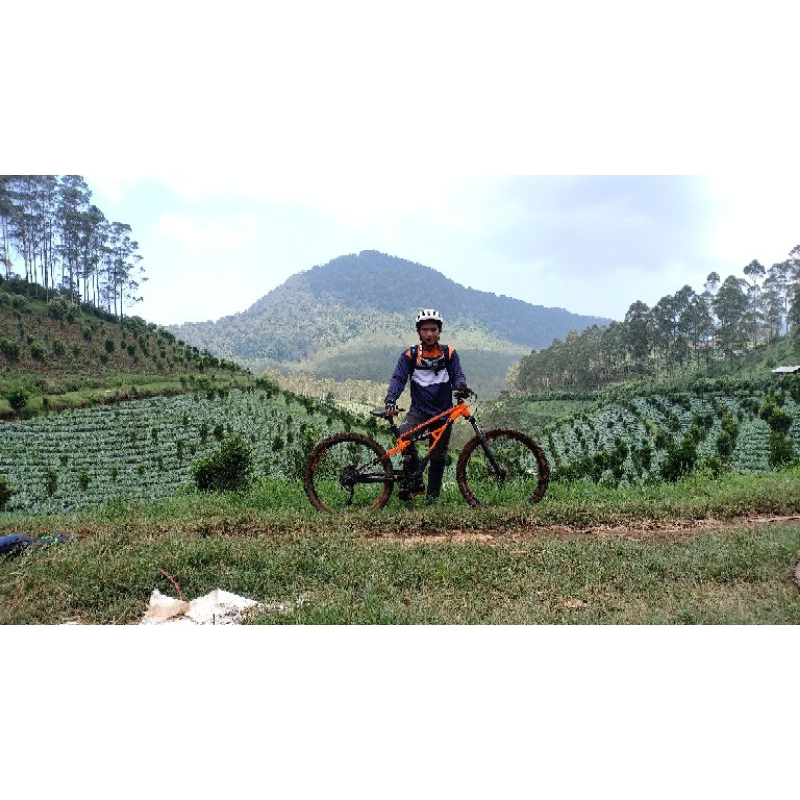 Polygon siskiu D5 2020