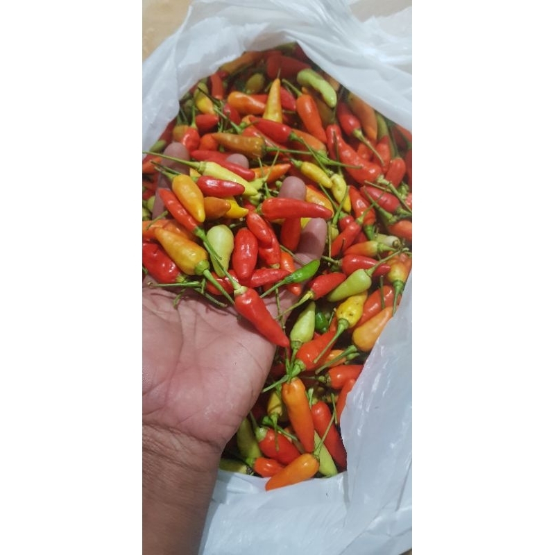 

Sale!!!Cabai lokal murah