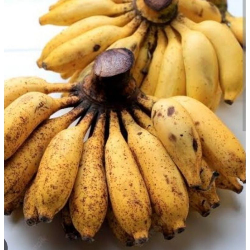 

Pisang Susu ( Kawesto ) 1 Kilogram