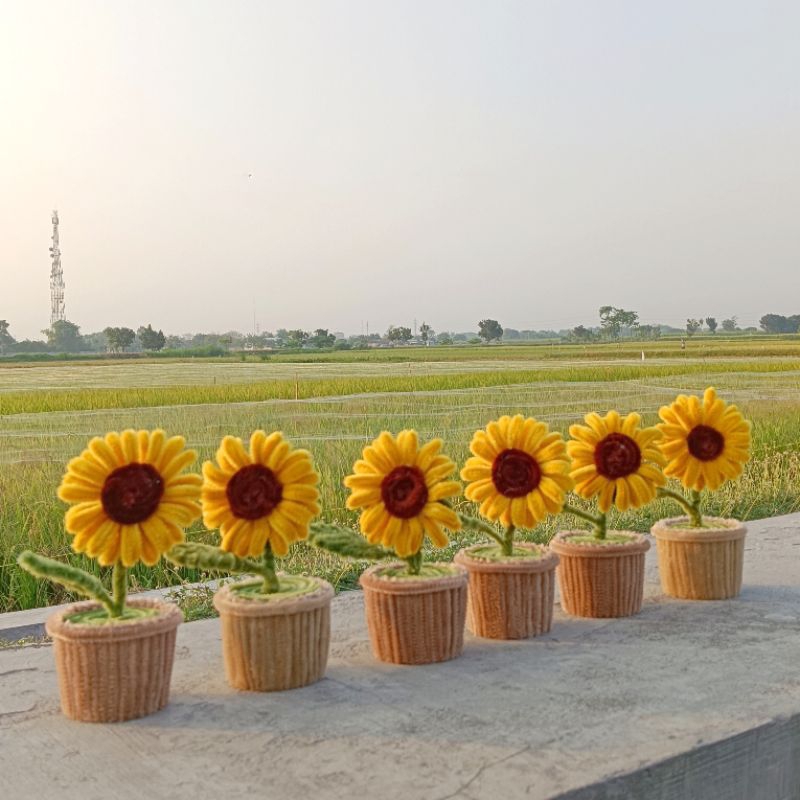 

SUNFLOWER lengkap packaging kardus&bublewrap