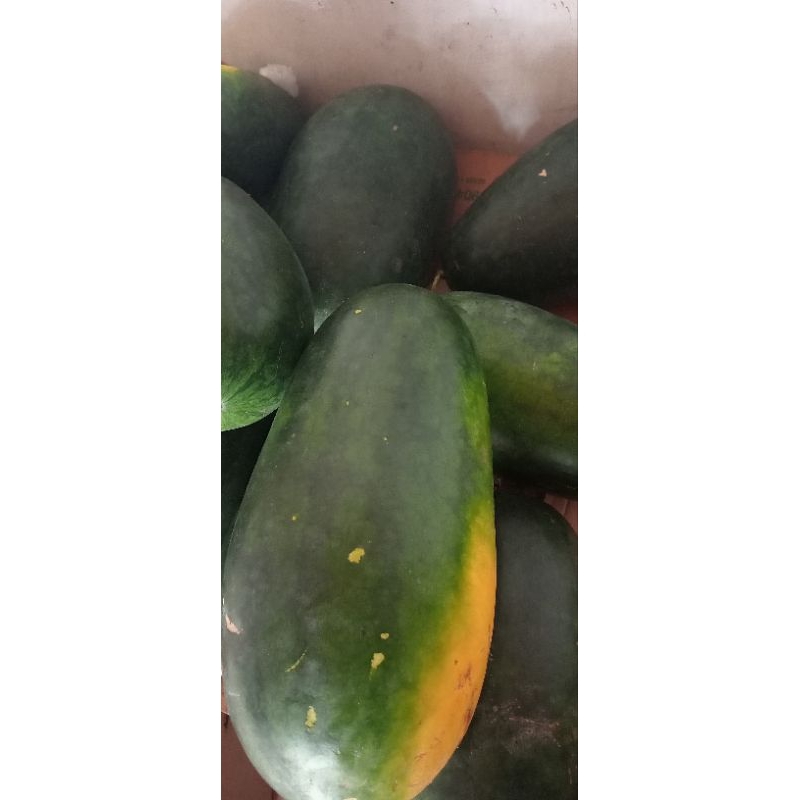 

buah semangka inul3/4 kg jual satuan