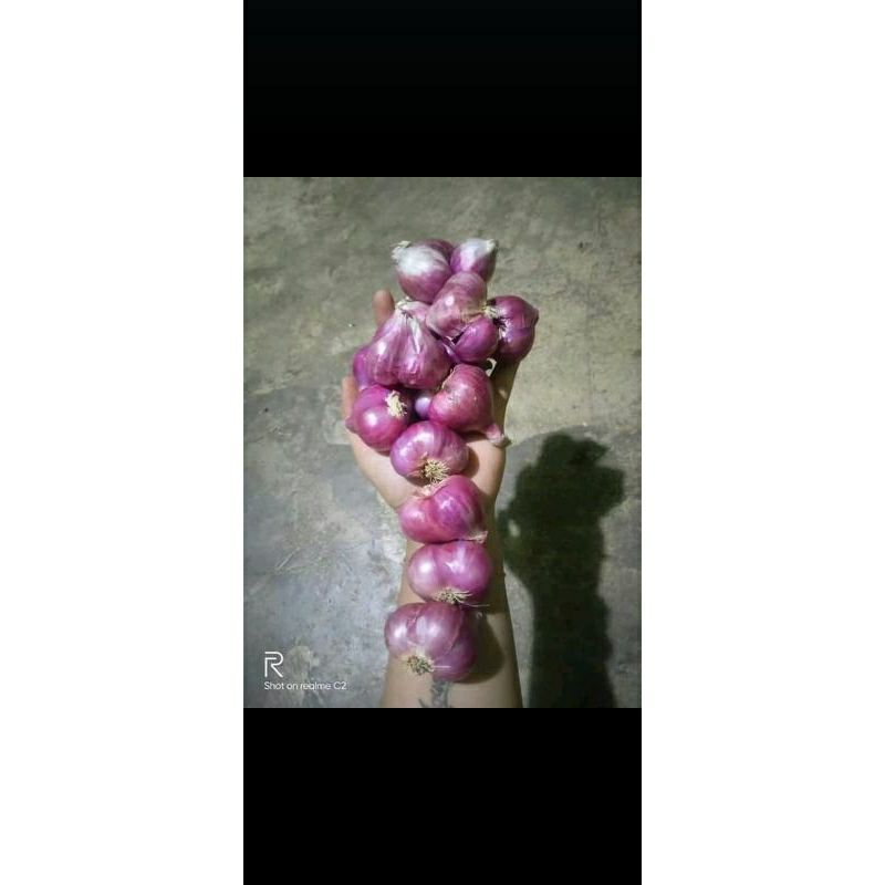 

Bawang merah Ponorogo