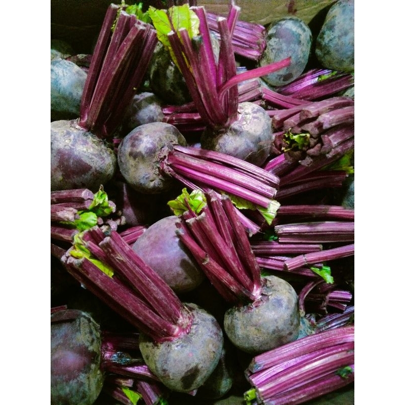 

BUAH BIT FRESH /BEET ROOT 1KG