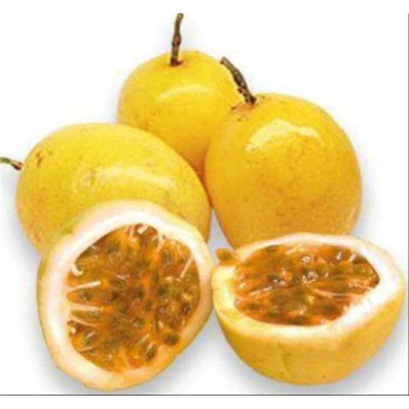 

BUAH MARKISA SEGAR 1KG