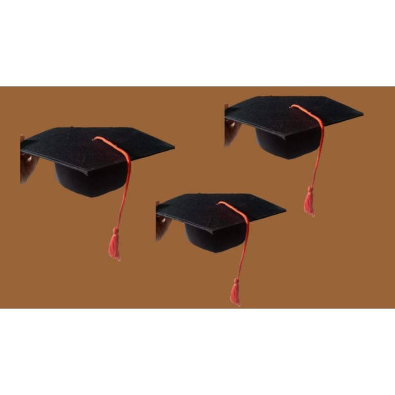 Topi toga wisuda anak paud,TK termurah berkualitas