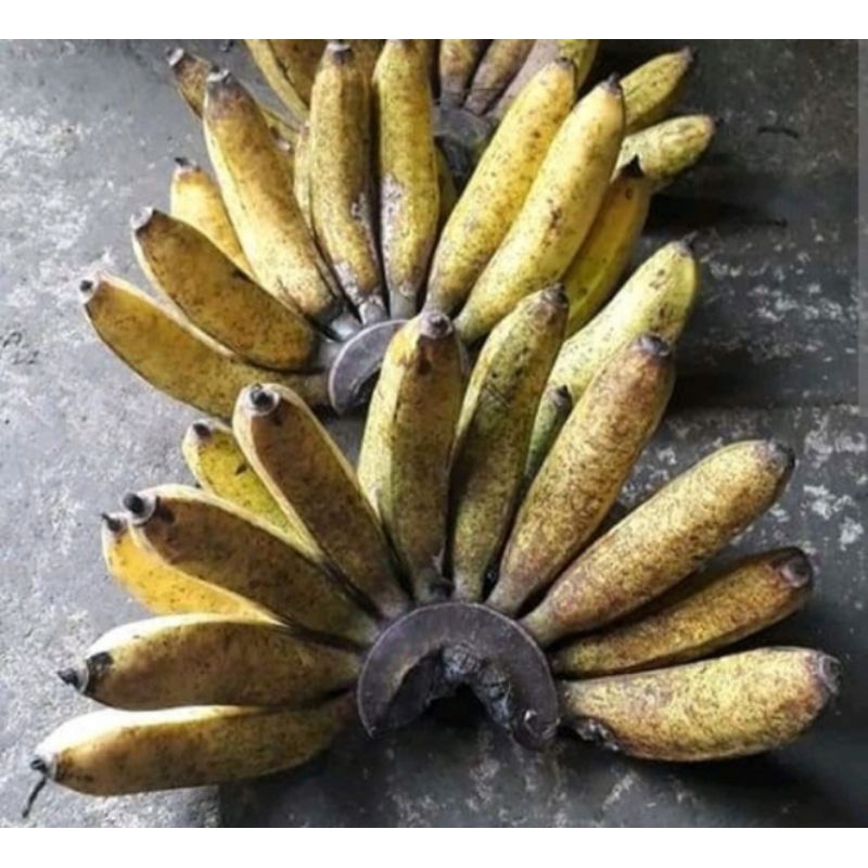 

Pisang Ampyang 1Kilogram