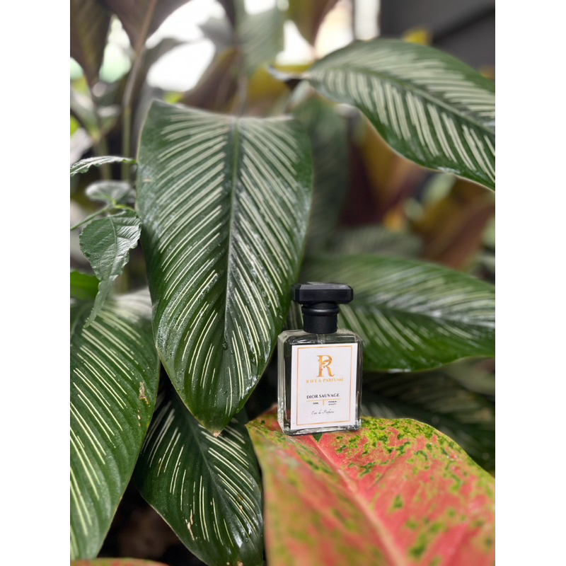 Rhea Parfum - Dior Sauvage 30ml Premium
