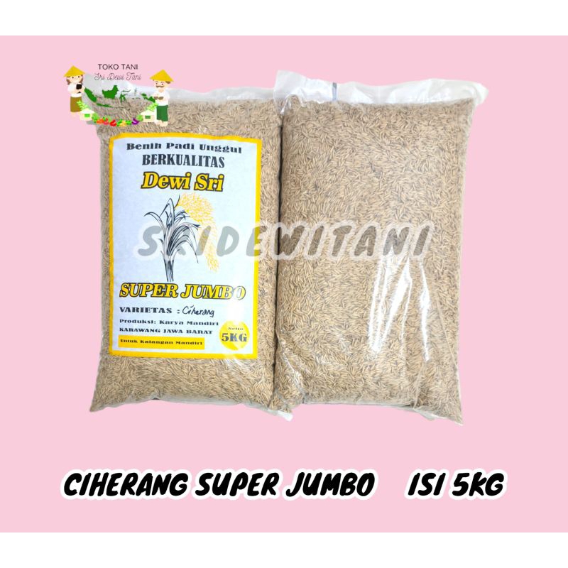 Bibit Benih Padi Isi 5 KG CIHERANG SUPER JUMBO Benih Unggul Berkualitas /CIBATU/INPARI 32/MAPAN