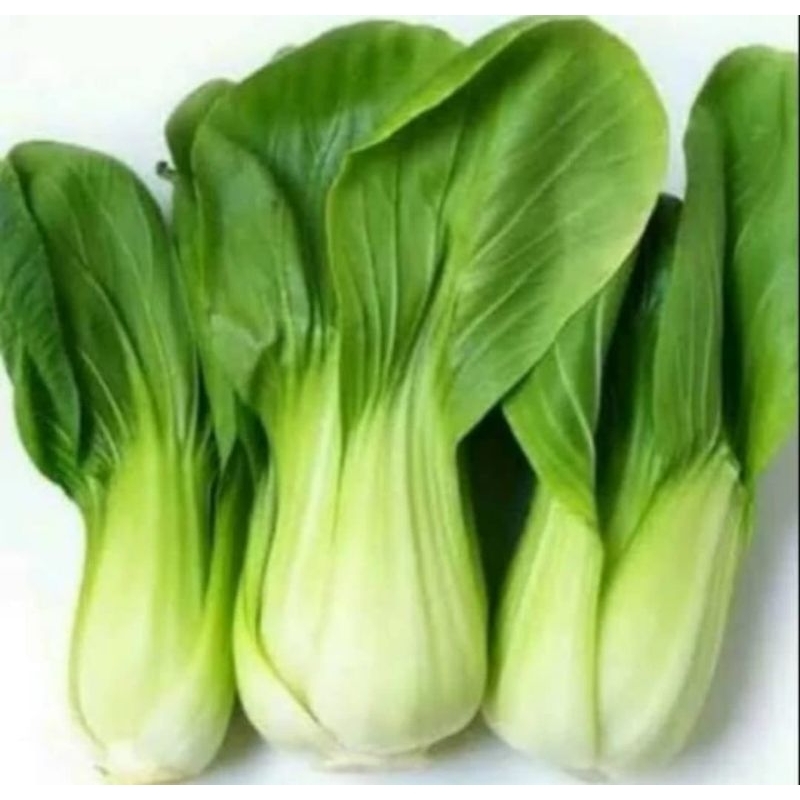 

Sawi Daging Pakcoy Fresh