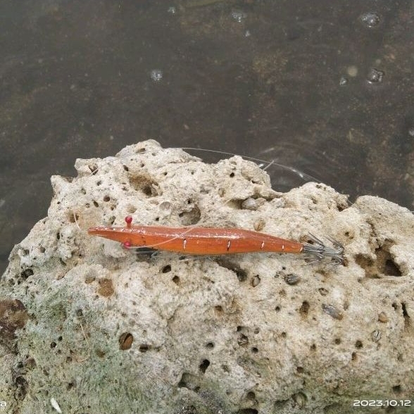 UMPAN PANCING CUMI DARI KAYU SUPER