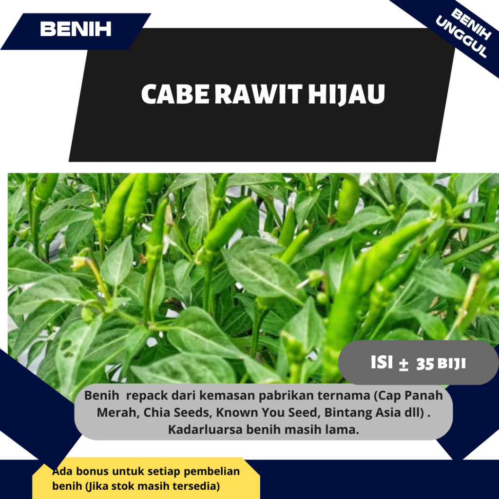 Benih cabe rawit hijau GENIE