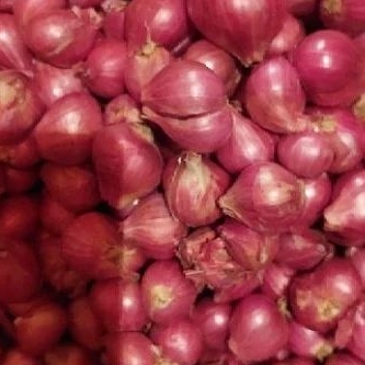 

BAWANG MERAH SEGAR HARGA PER 1 KG